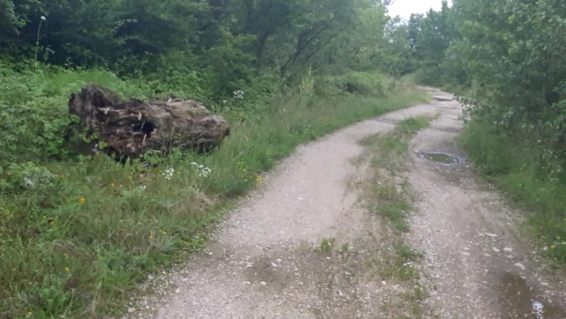 video terrain 1
